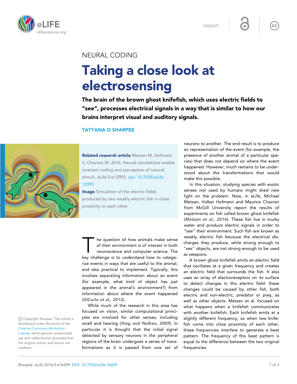 Taking a Close Look at Electrosensing