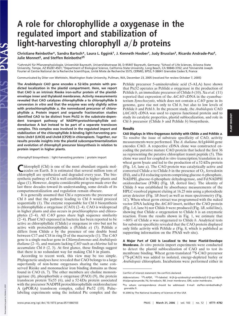 A Role for Chlorophyllide a Oxygenase in the Regulated Import and Stabilization of Light-Harvesting Chlorophyll A͞b Proteins