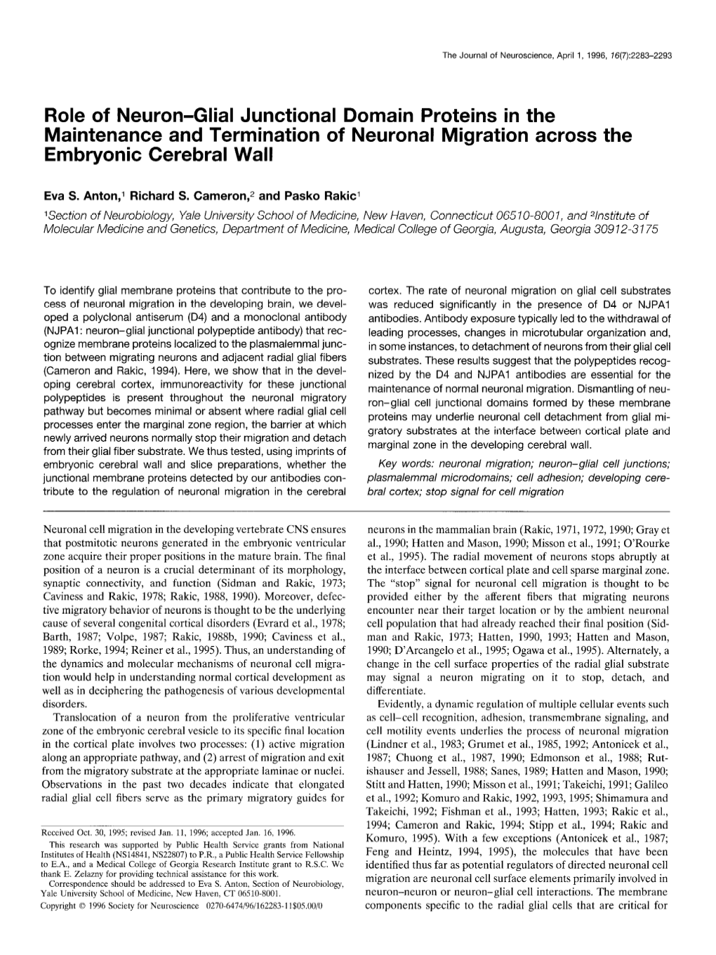 Role of Neuron-Glial Junctional Domain Proteins in the Maintenance and Termination of Neuronal Migration Across the Embryonic Cerebral Wall