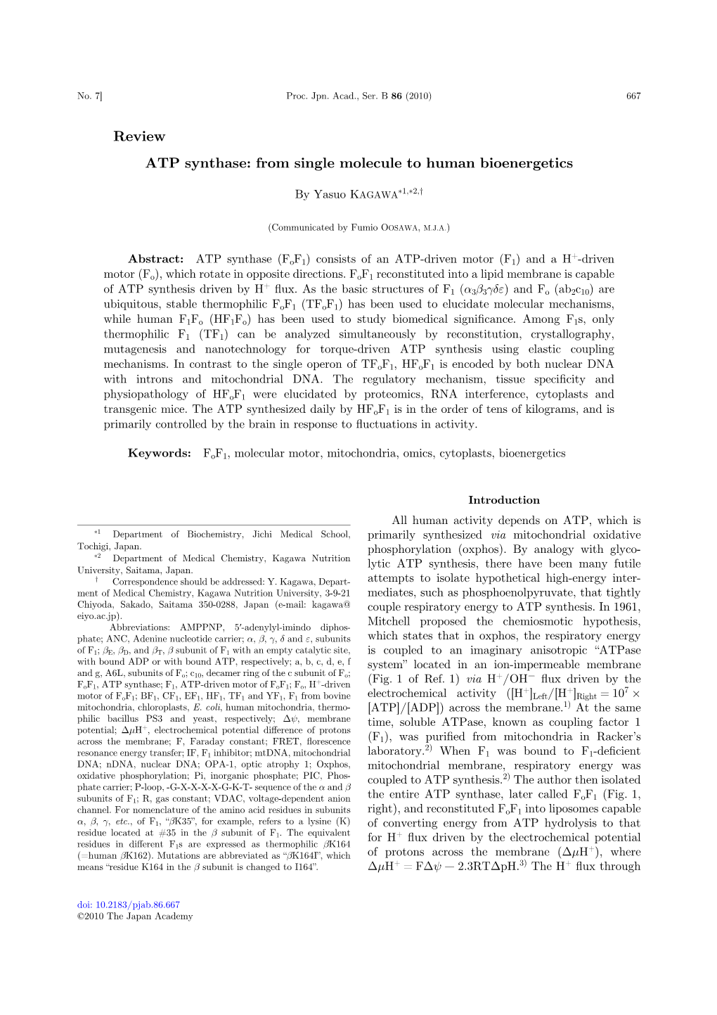 ATP Synthase: from Single Molecule to Human Bioenergetics