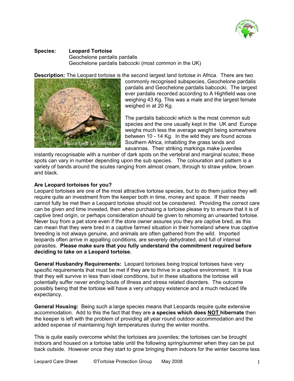 Species: Leopard Tortoise Geochelone Pardalis Pardalis Geochelone Pardalis Babcocki (Most Common in the UK)