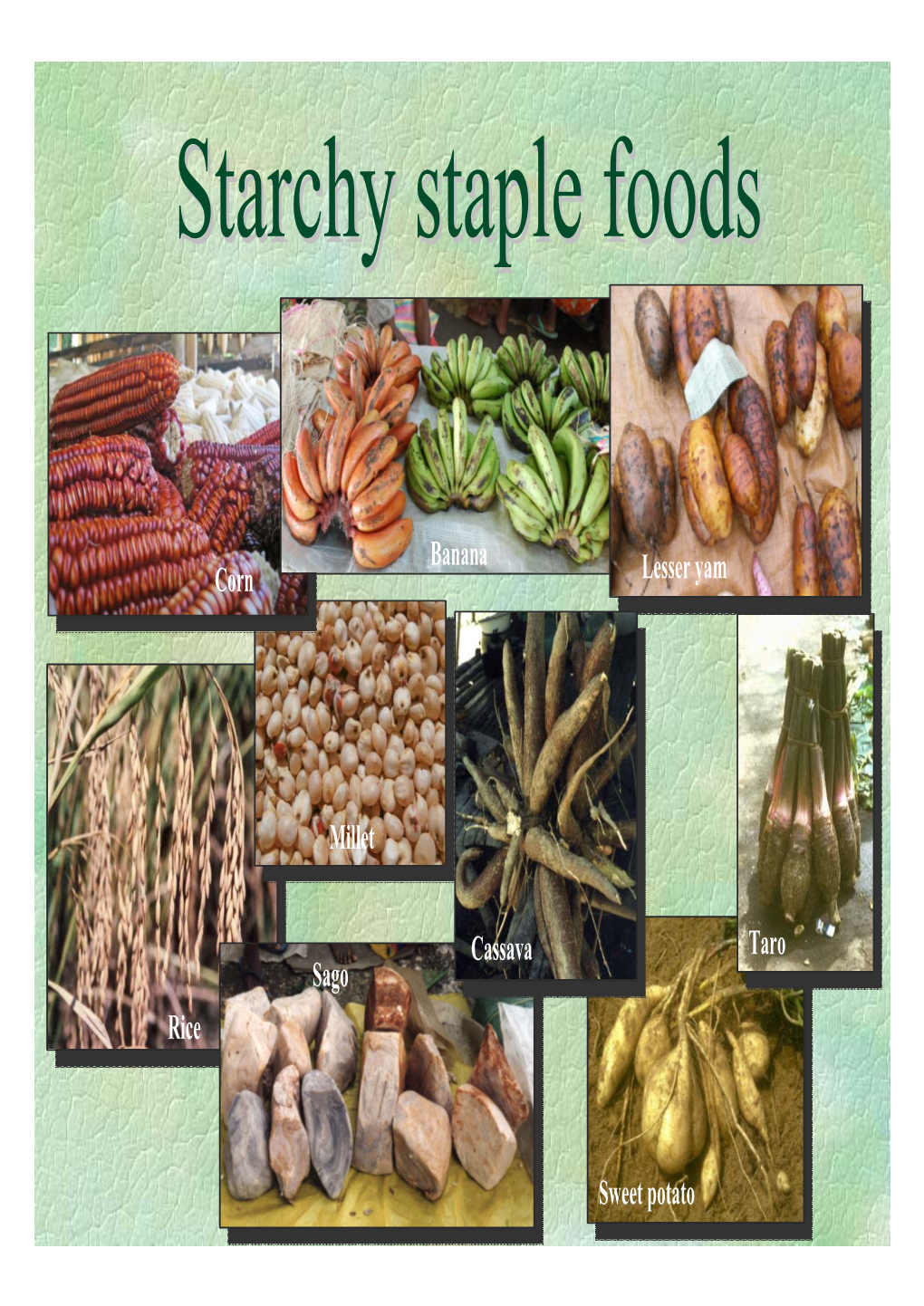 Starchy Staple Foods Ebook