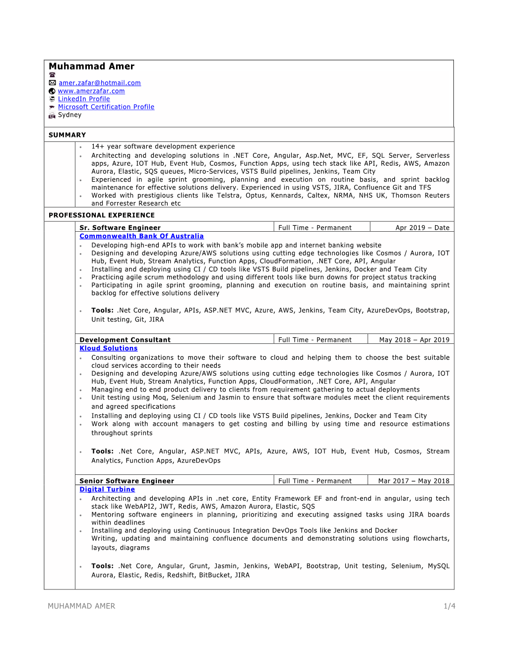 Muhammad-Amer-Resume.Pdf