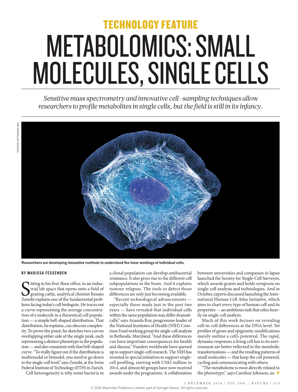 Metabolomics: Small Molecules, Single Cells