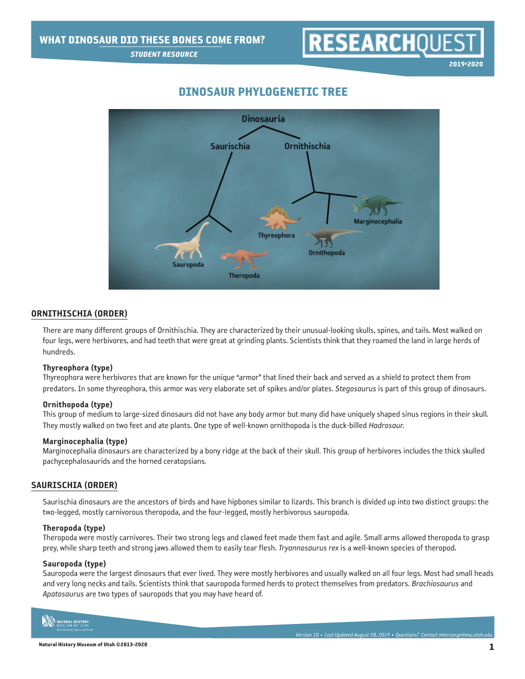 Dinosaur Phylogenetic Tree