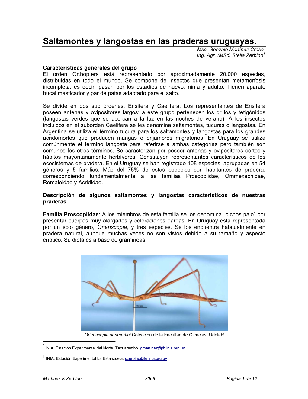 El Orden Orthoptera Contiene Dos Sub Rdenes: Ensifera Y Caelifera