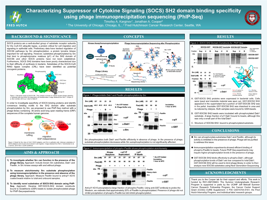 Characterizing Suppressor of Cytokine Signaling (SOCS) SH2 Domain Binding Specificity Using Phage Immunoprecipitation Sequencing (Phip-Seq) Timofey A