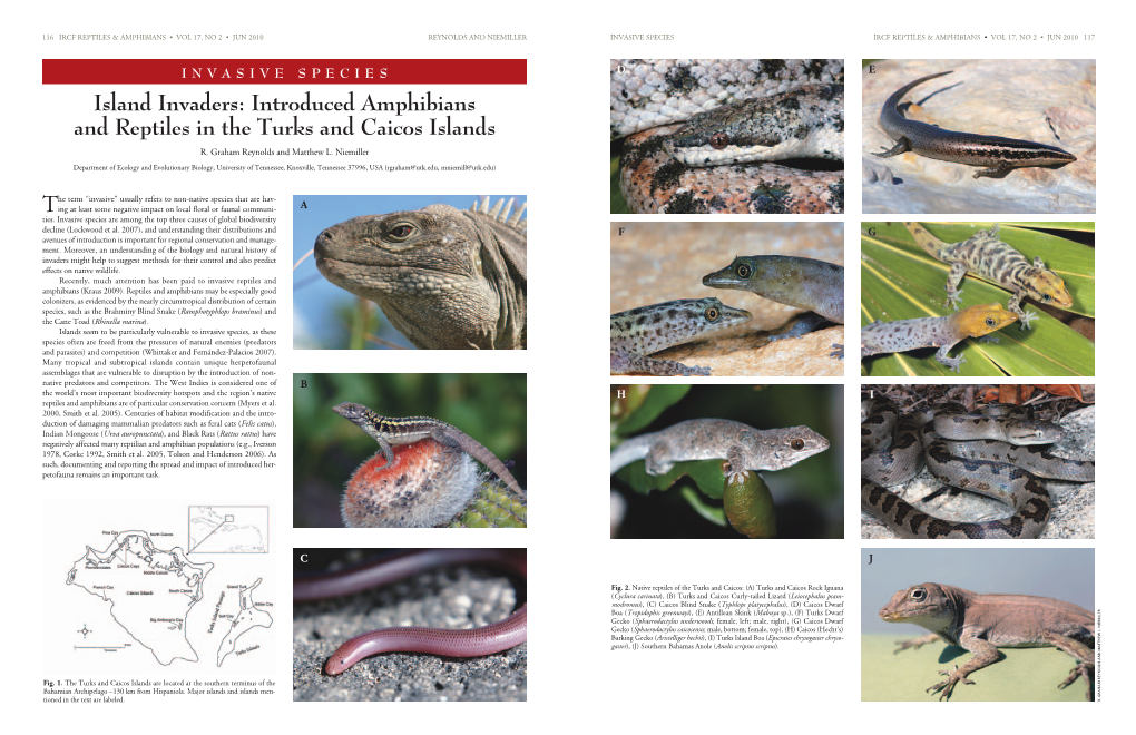 Introduced Amphibians and Reptiles in the Turks and Caicos Islands R