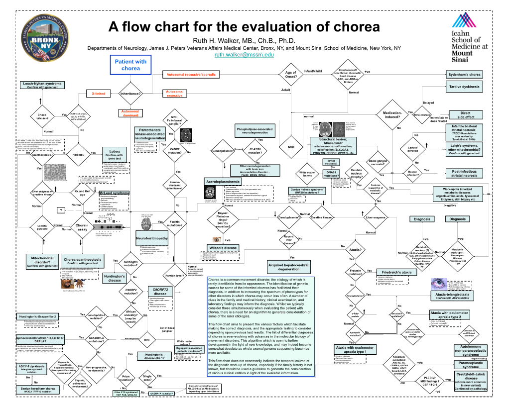 A Flow Chart for the Evaluation of Chorea Ruth H
