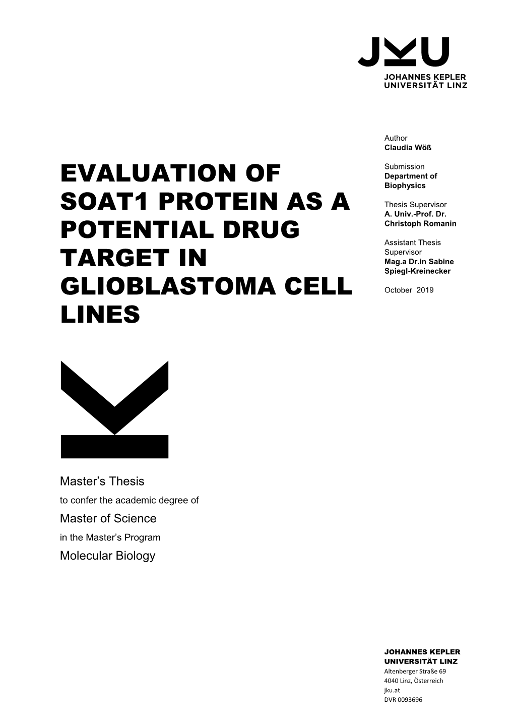 Evaluation of SOAT1 Protein As a Potential Drug Target in Glioblastoma