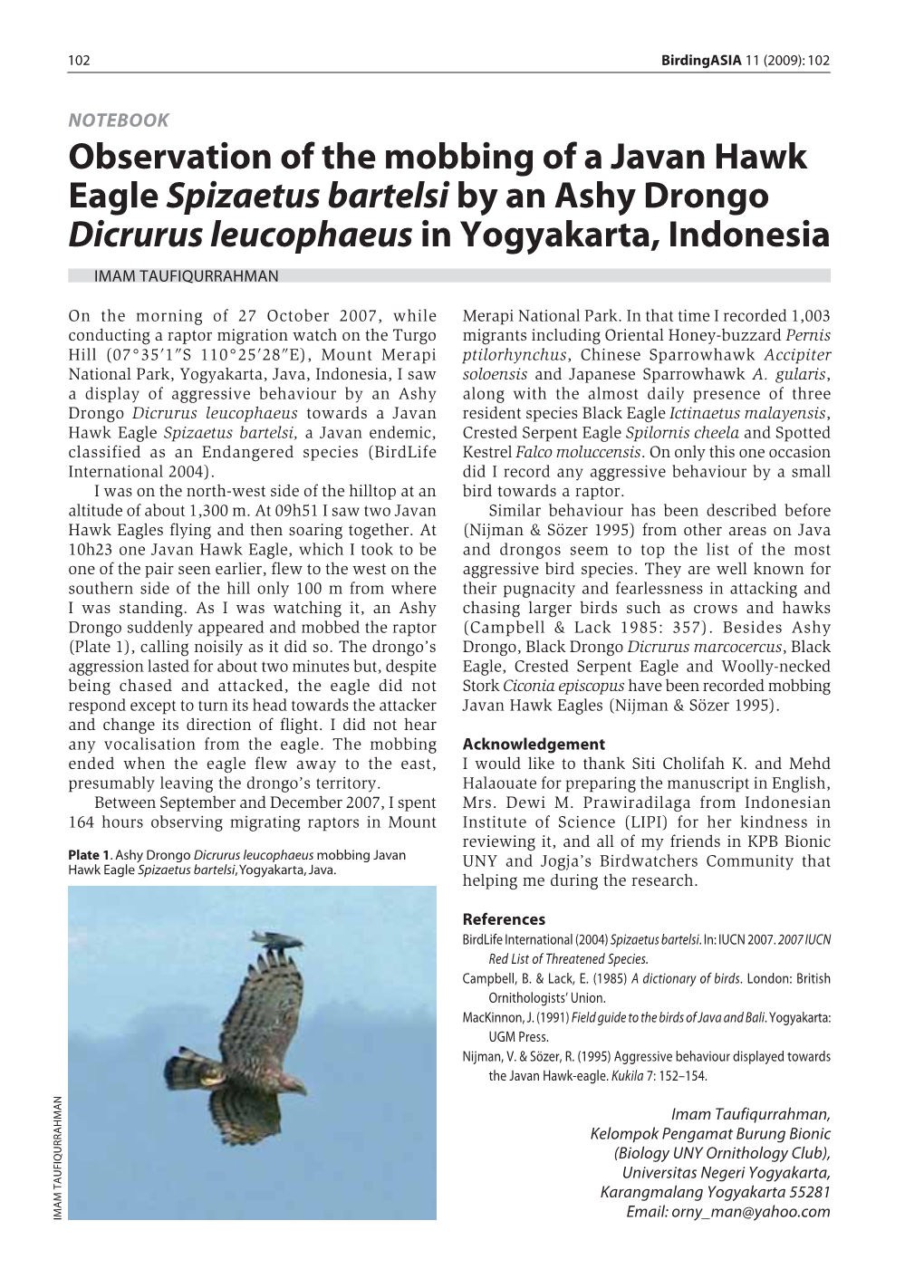 Observation of the Mobbing of a Javan Hawk Eagle Spizaetus Bartelsi by an Ashy Drongo Dicrurus Leucophaeus in Yogyakarta, Indonesia IMAM TAUFIQURRAHMAN