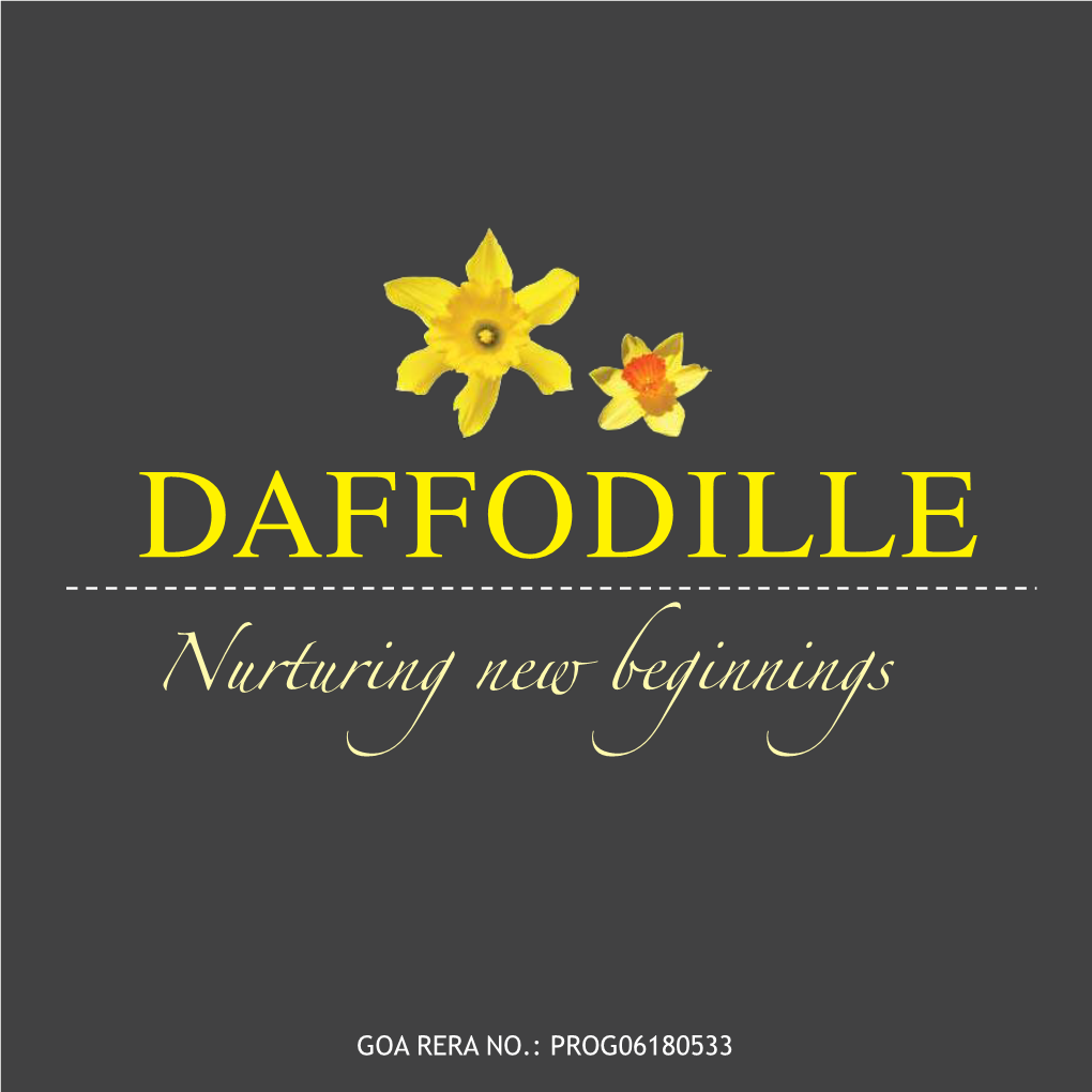 Daffodille Brochure 7.1.19A