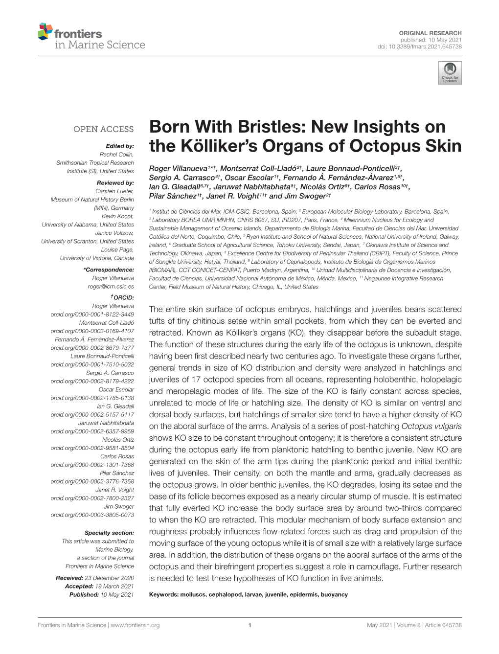 Born with Bristles: New Insights on the KÃ¶Lliker's Organs of Octopus Skin