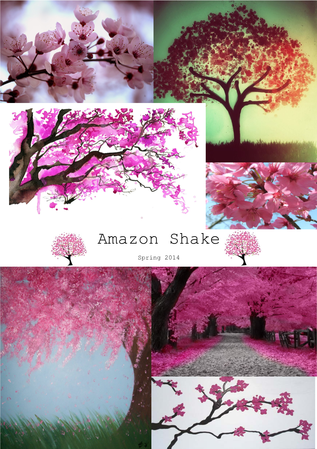 Amazon Shake Spring 2014