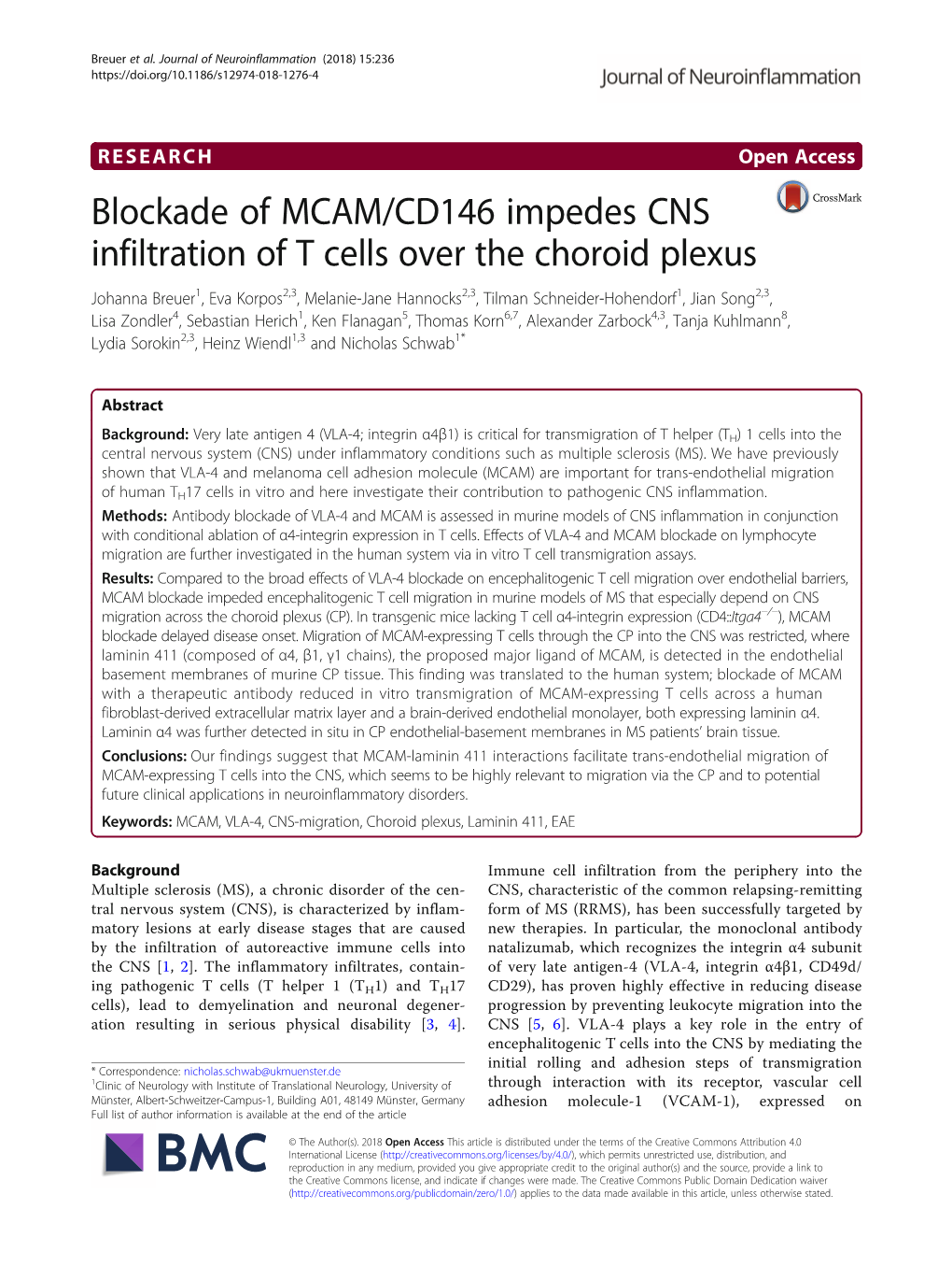 Blockade of MCAM/CD146 Impedes