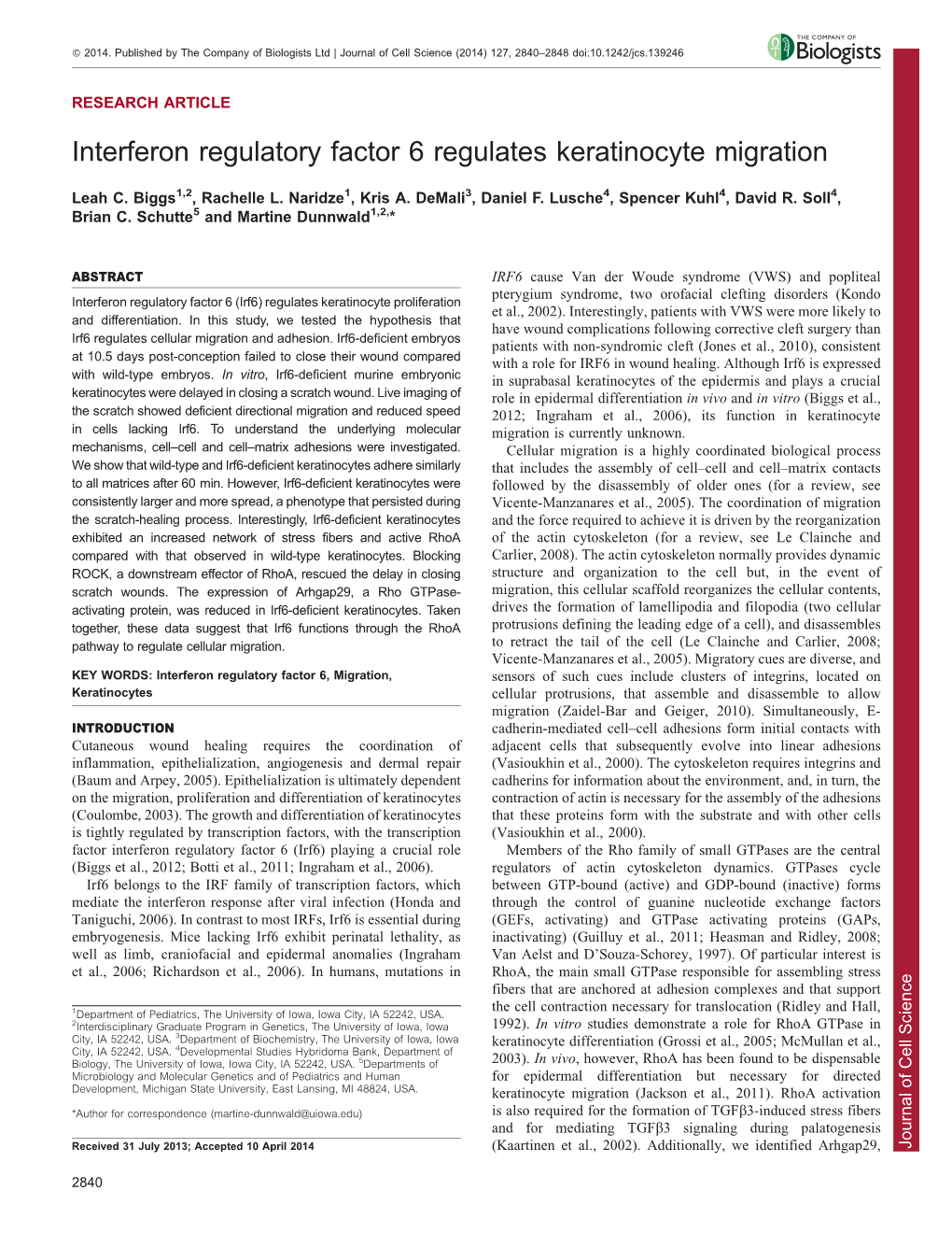 Interferon Regulatory Factor 6 Regulates Keratinocyte Migration