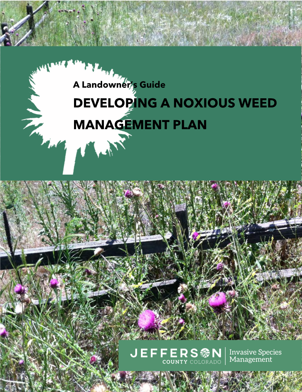 Developing a Noxious Weed Management Plan