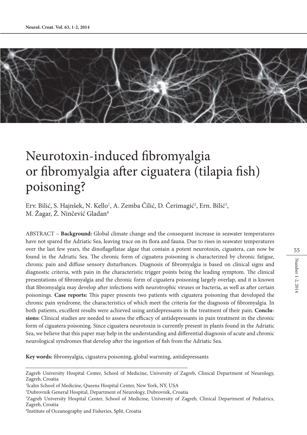 Neurotoxin-Induced Fibromyalgia Or Fibromyalgia