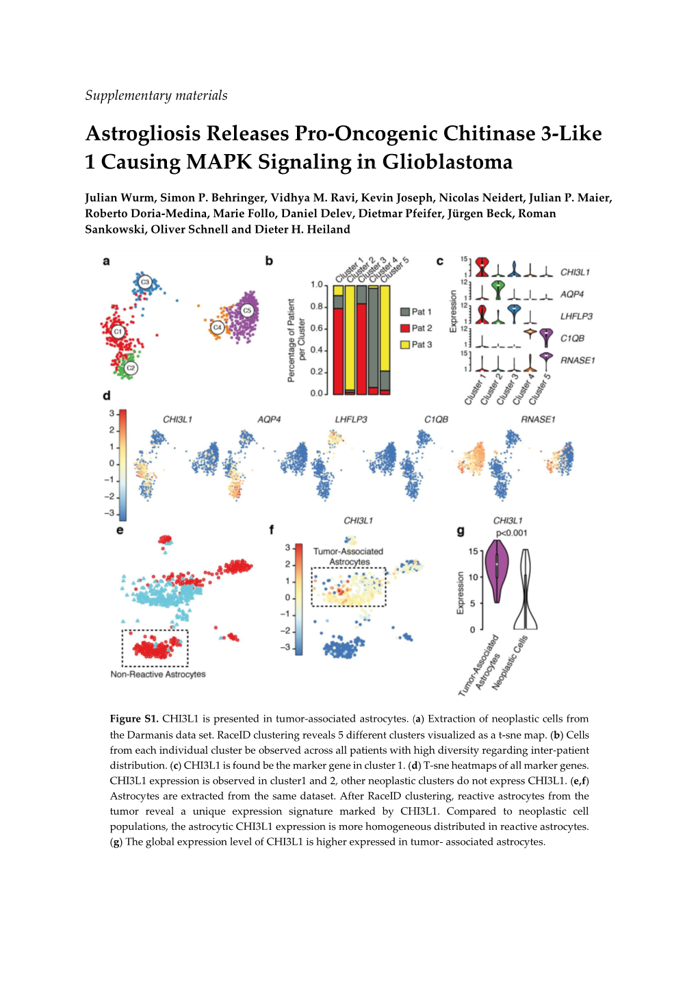 Astrogliosis Releases Pro-Oncogenic Chitinase 3-Like 1 Causing MAPK Signaling in Glioblastoma