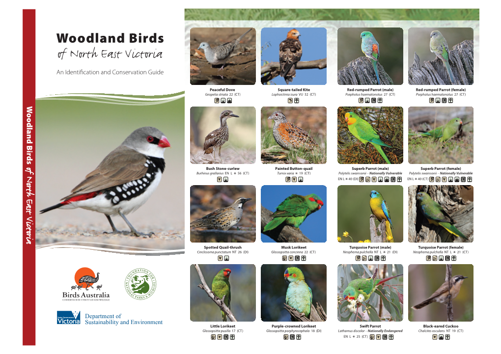 Of North East Victoria of North an Identiﬁcation and Conservationan Identiﬁcation Guide Woodland Birds Woodland