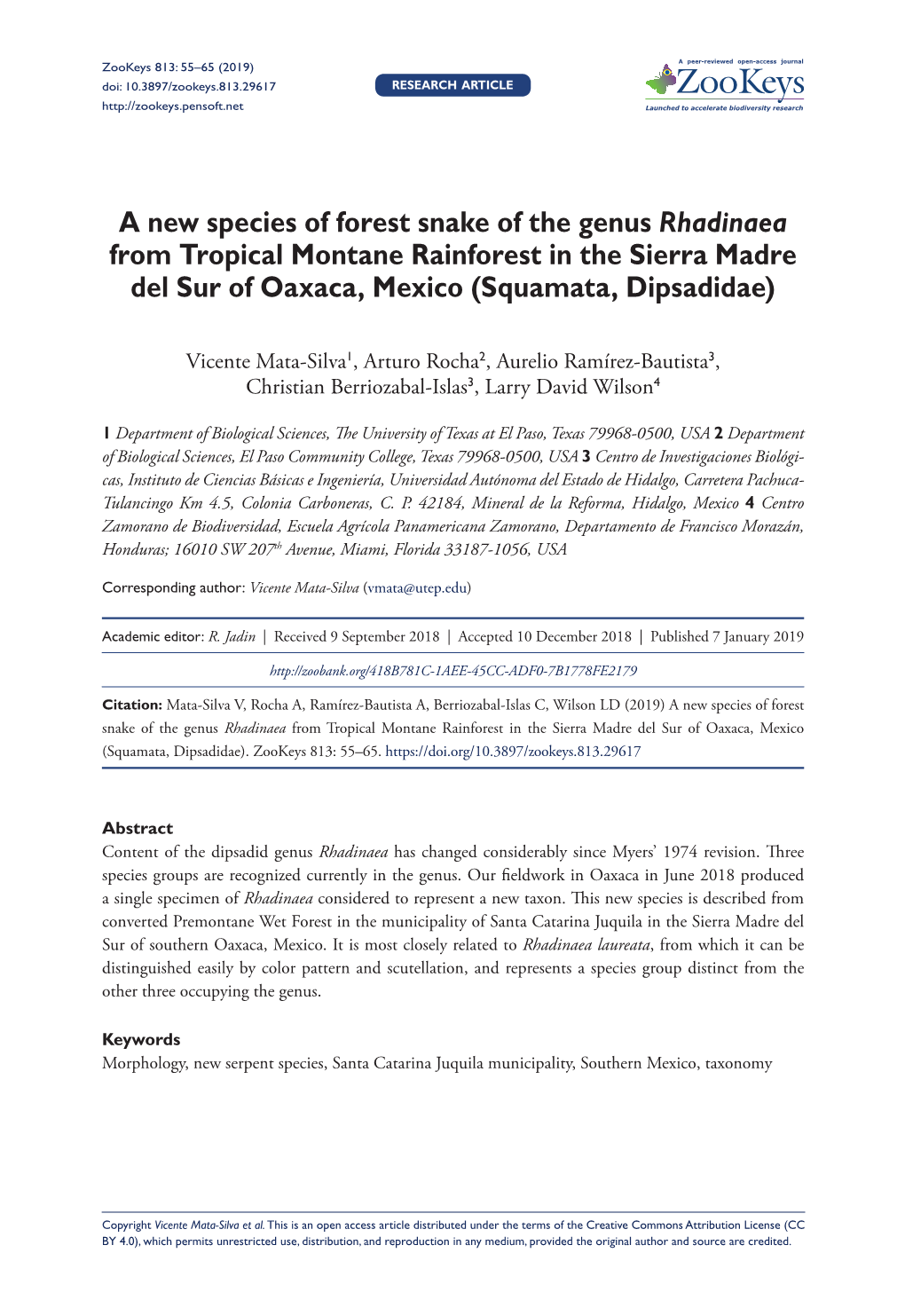 A New Species of Forest Snake of the Genus Rhadinaea from Tropical Montane Rainforest in the Sierra Madre Del Sur of Oaxaca, Mexico (Squamata, Dipsadidae)