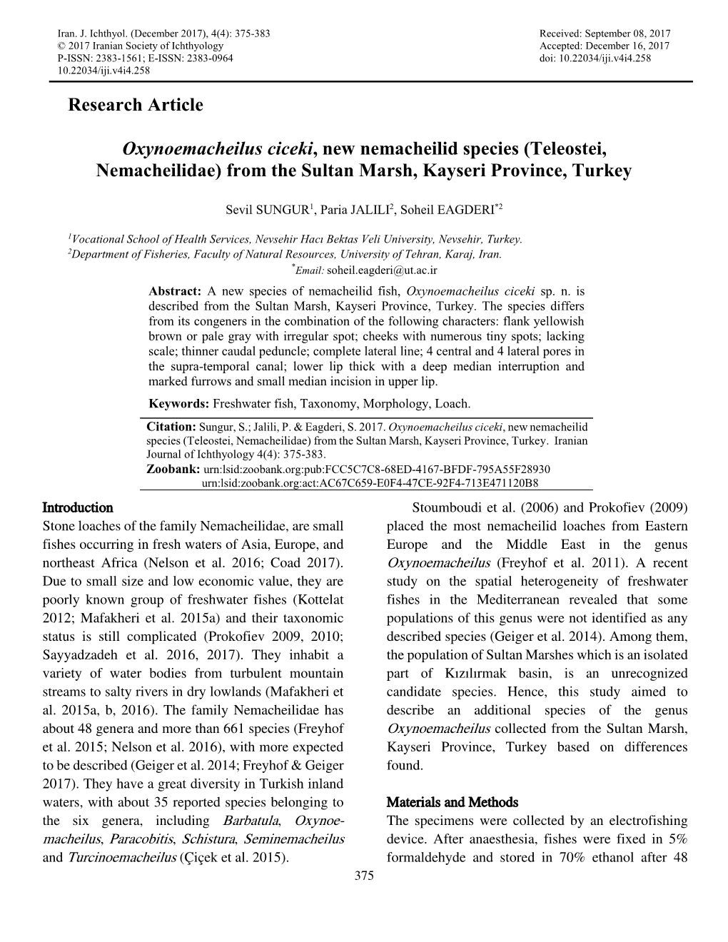 Research Article Oxynoemacheilus Ciceki, New Nemacheilid Species