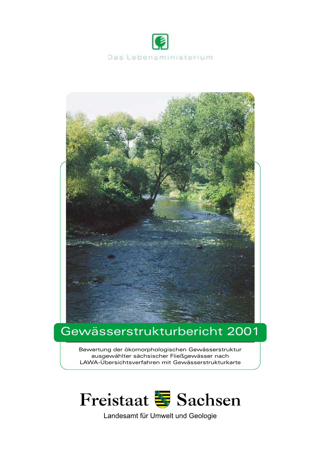Gewässerstrukturbericht 2001