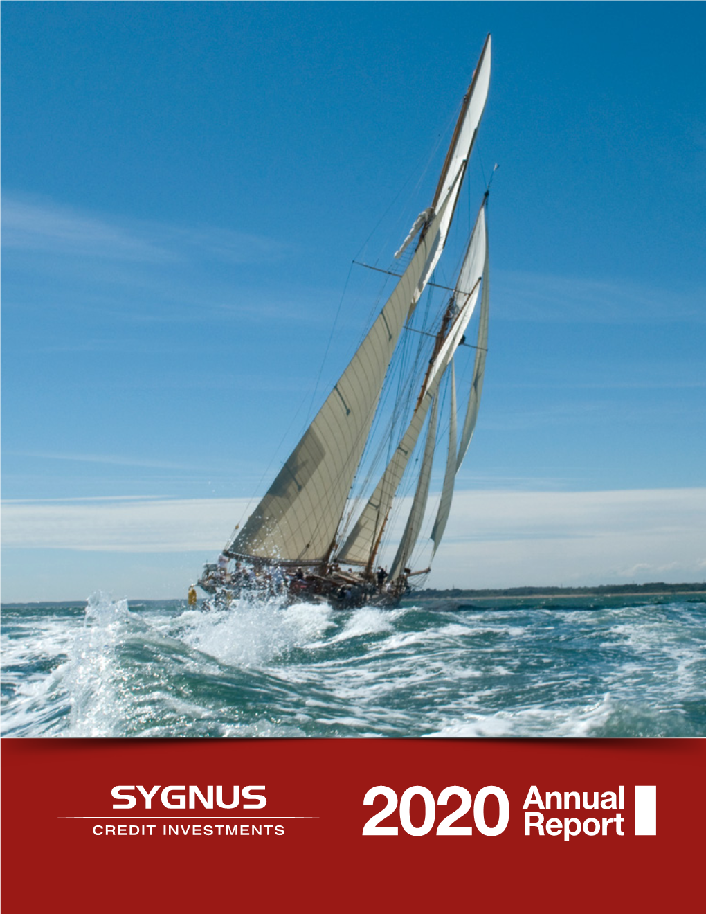 SCI 2020 Annual Report