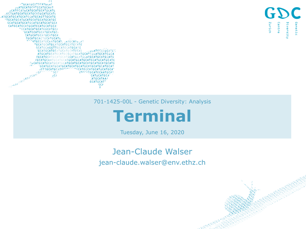 Terminal Tuesday, June 16, 2020