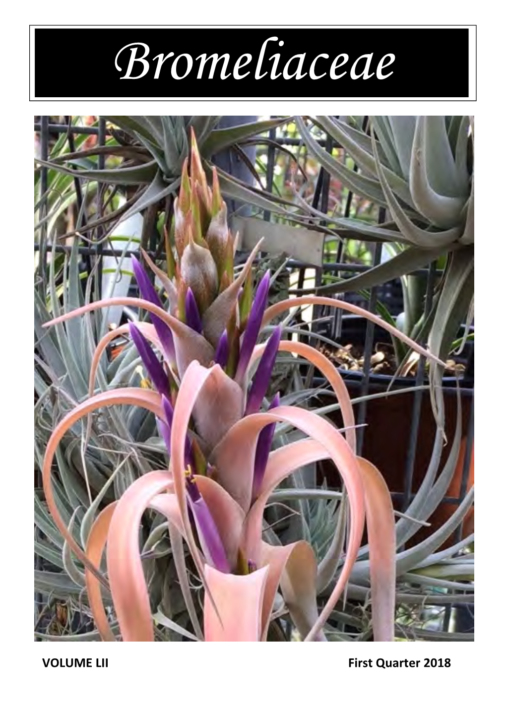 Bromeliaceae Volume LII, First Quarter 2018