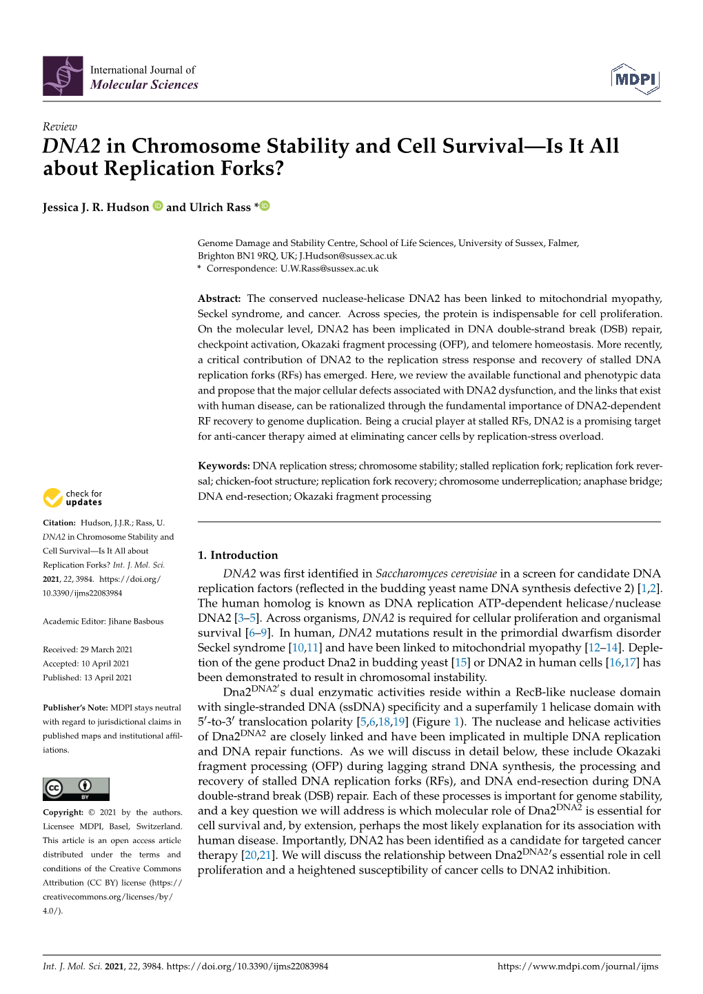 DNA2 in Chromosome Stability and Cell Survival—Is It All About Replication Forks?