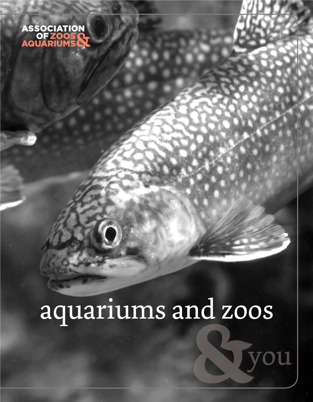 You Aquariums and Zoos