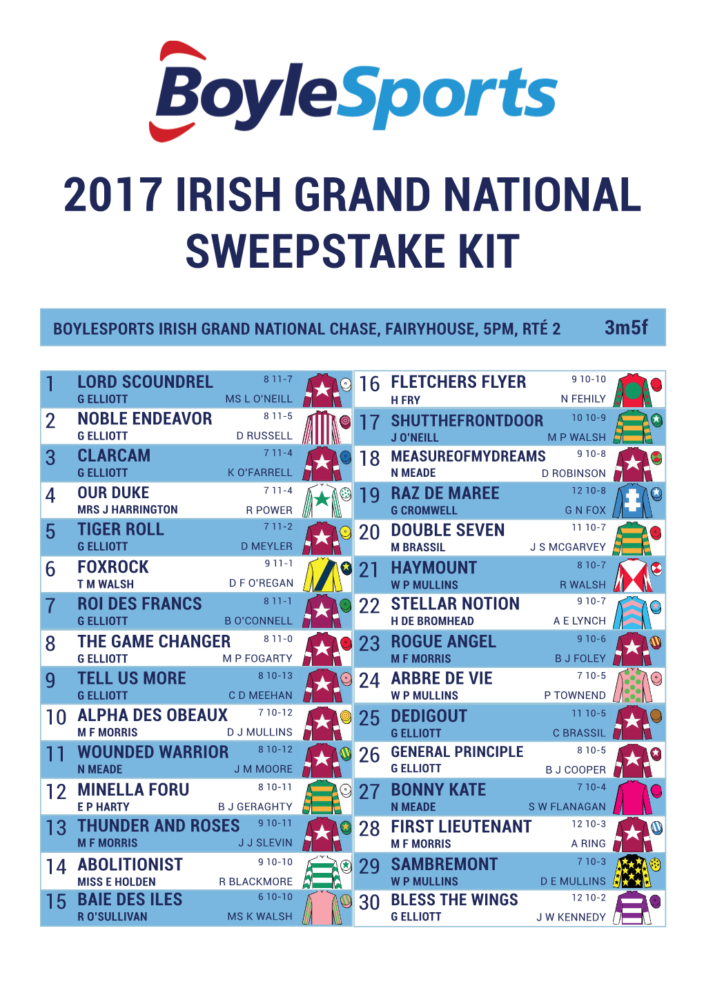 2017 Irish Grand National Sweepstake Kit