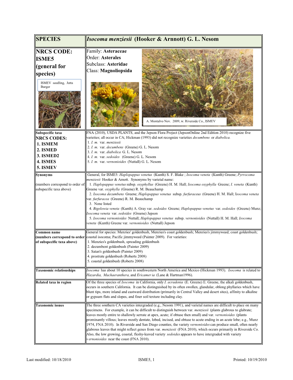 SPECIES Isocoma Menziesii (Hooker & Arnnott) G