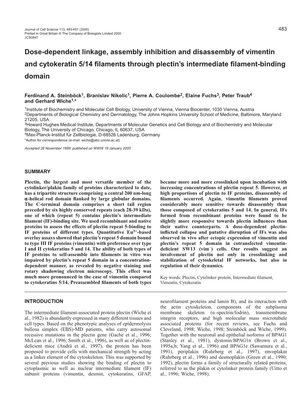 Effects of Plectin on IF Assembly