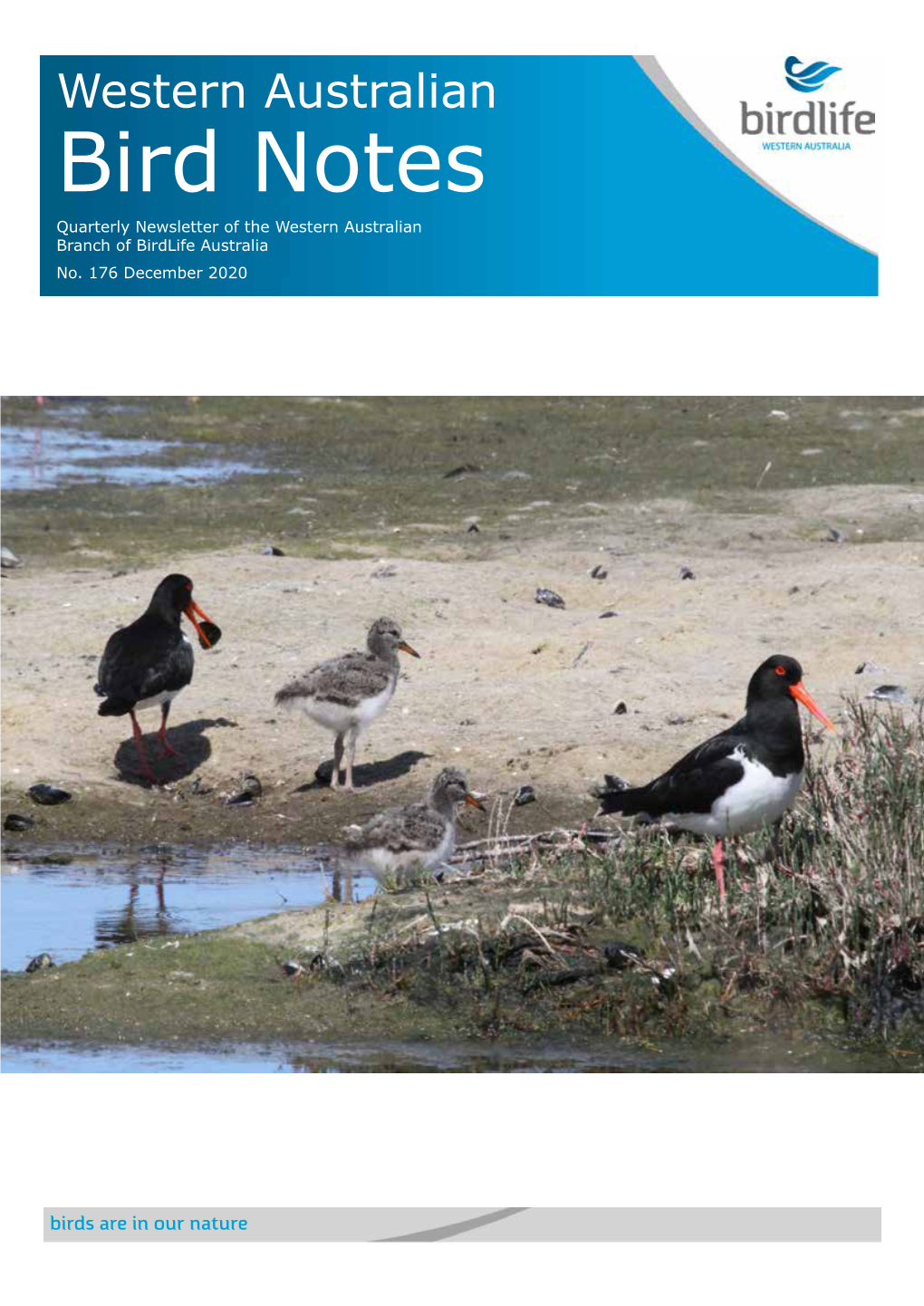 Bird Notes Quarterly Newsletter of the Western Australian Branch of Birdlife Australia No