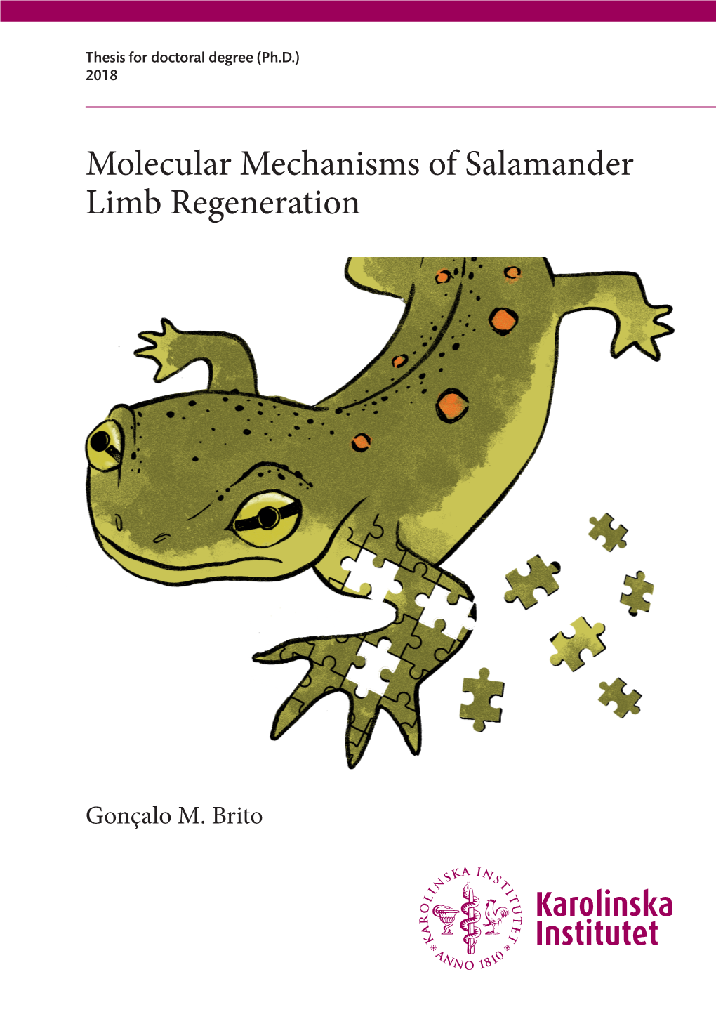 Molecular Mechanisms of Salamander Limb Regeneration Molecular Mechanisms of Salamander Limb Regeneration