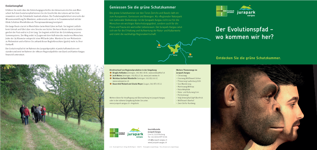 Der Evolutionspfad – Wo Kommen Wir Her?