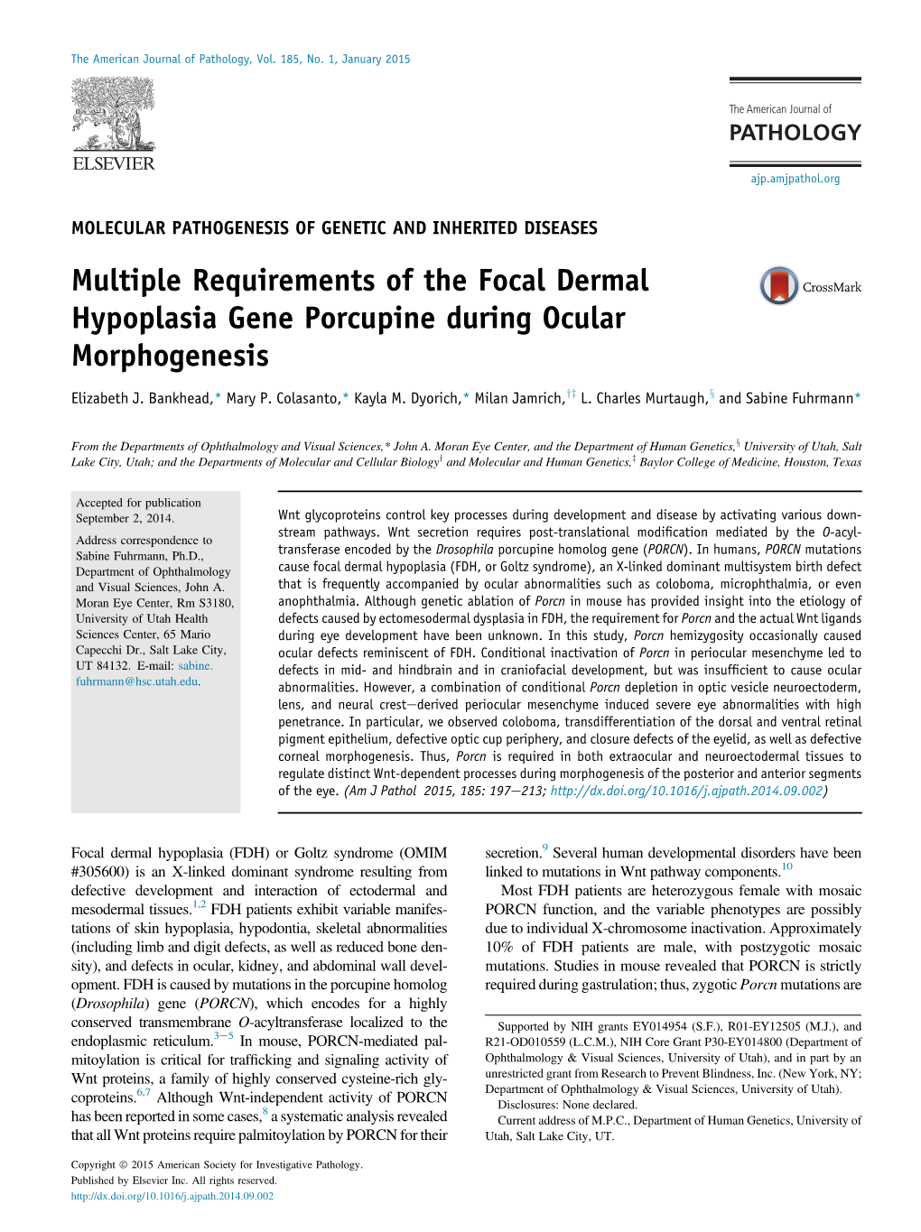 Multiple Requirements of the Focal Dermal Hypoplasia Gene Porcupine During Ocular Morphogenesis