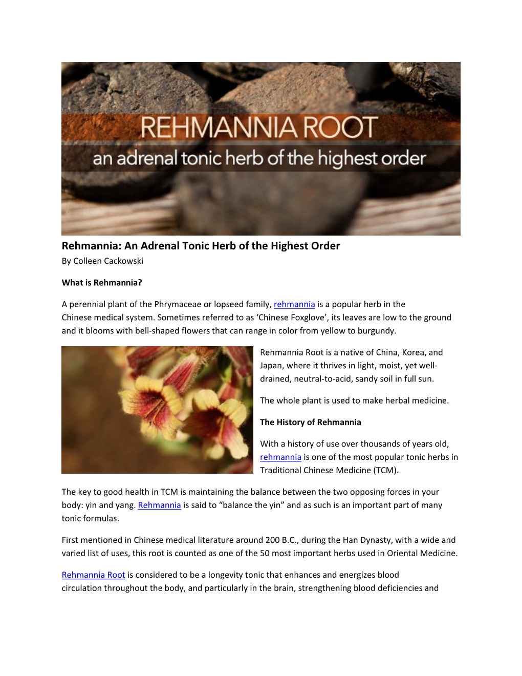 Rehmannia: an Adrenal Tonic Herb of the Highest Order by Colleen Cackowski