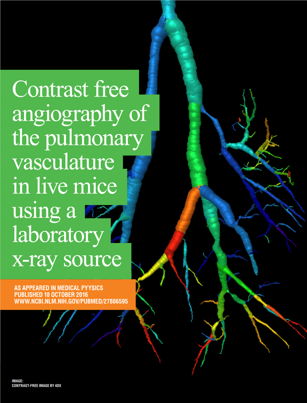 Contrast Free Angiography of the Pulmonary Vasculature in Live Mice Using a Laboratory X-Ray Source