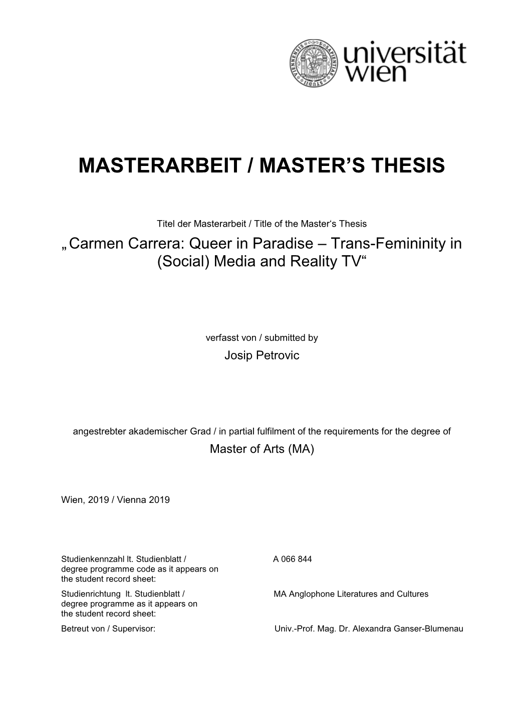 Masterarbeit / Master's Thesis