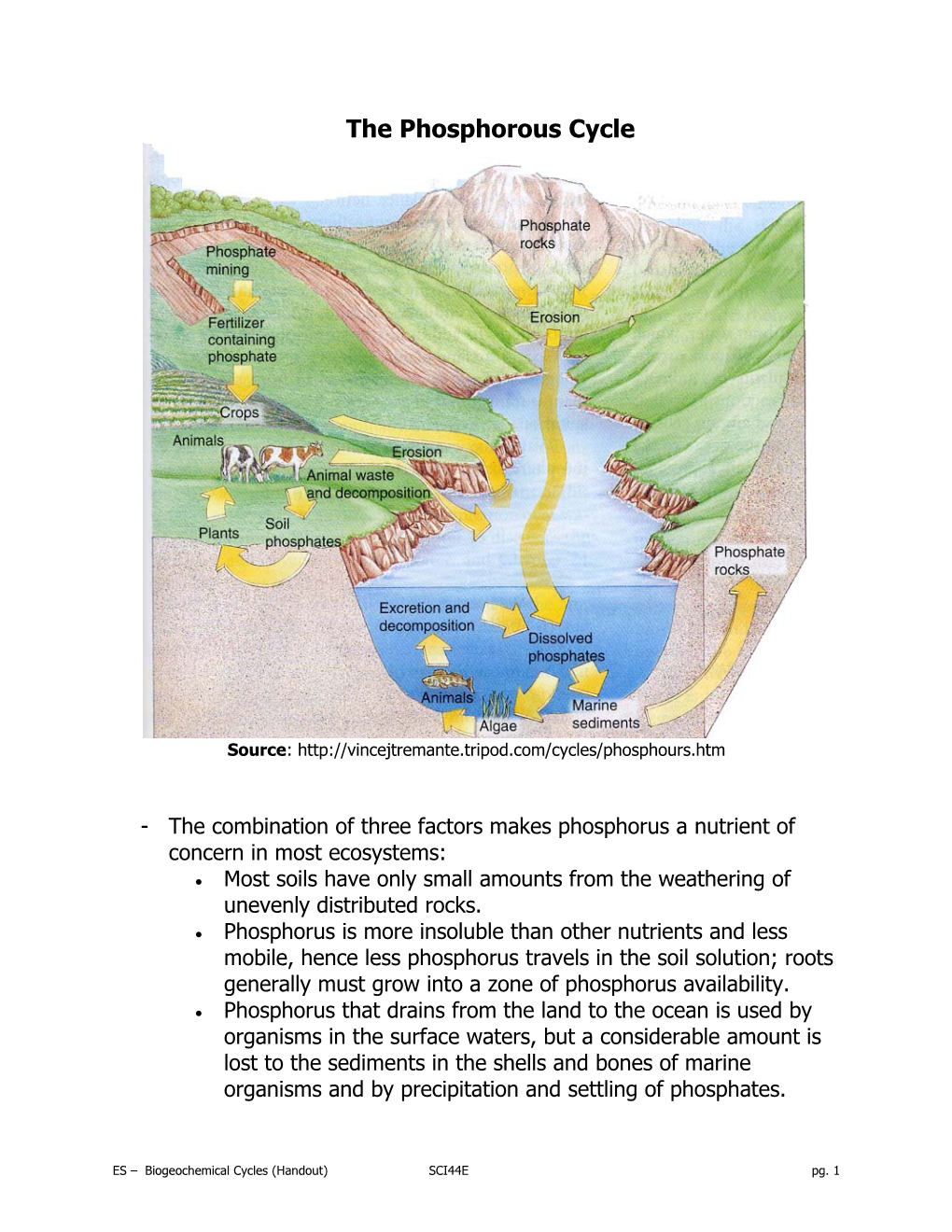 The Phosphorous Cycle