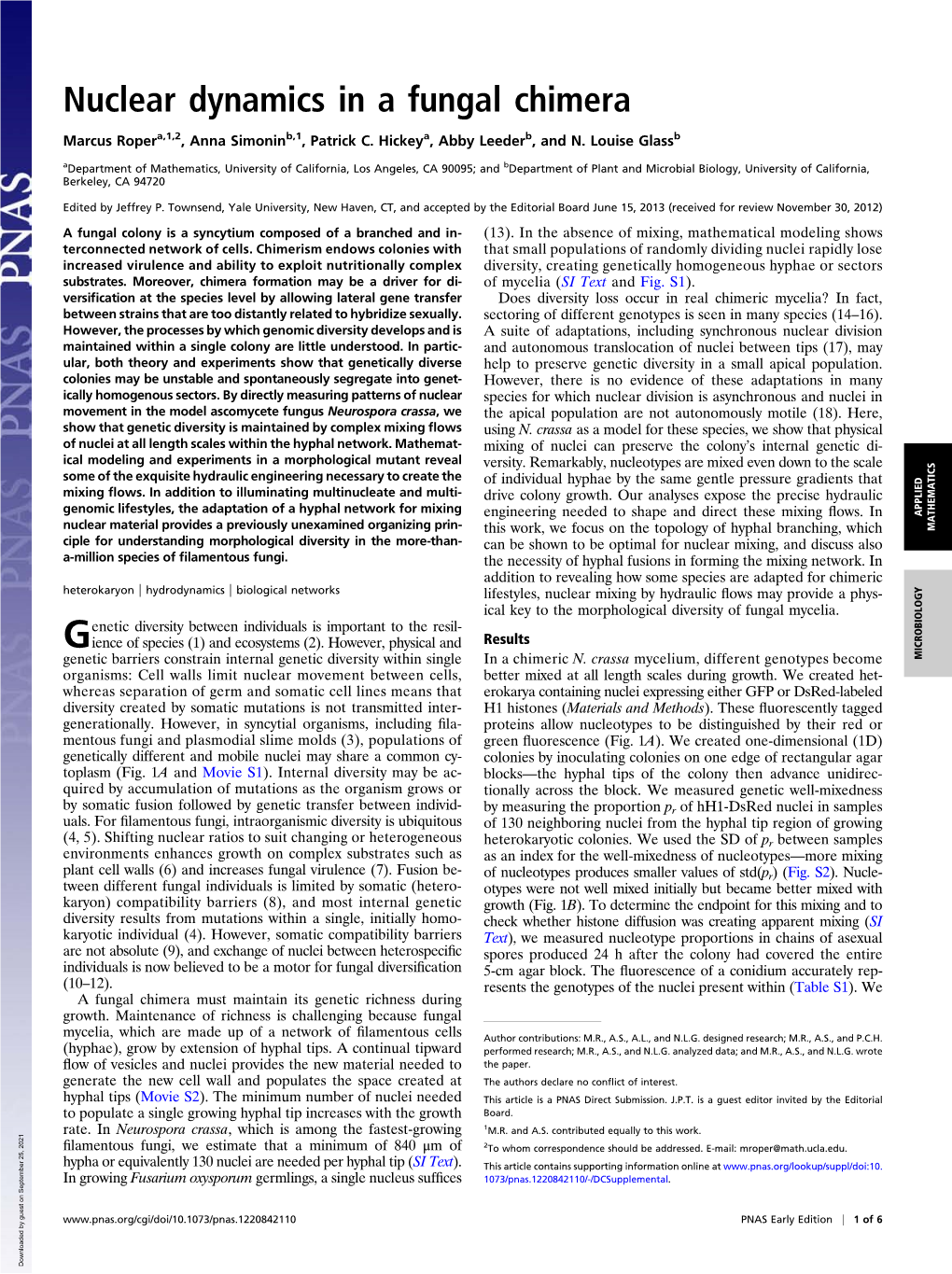 Nuclear Dynamics in a Fungal Chimera