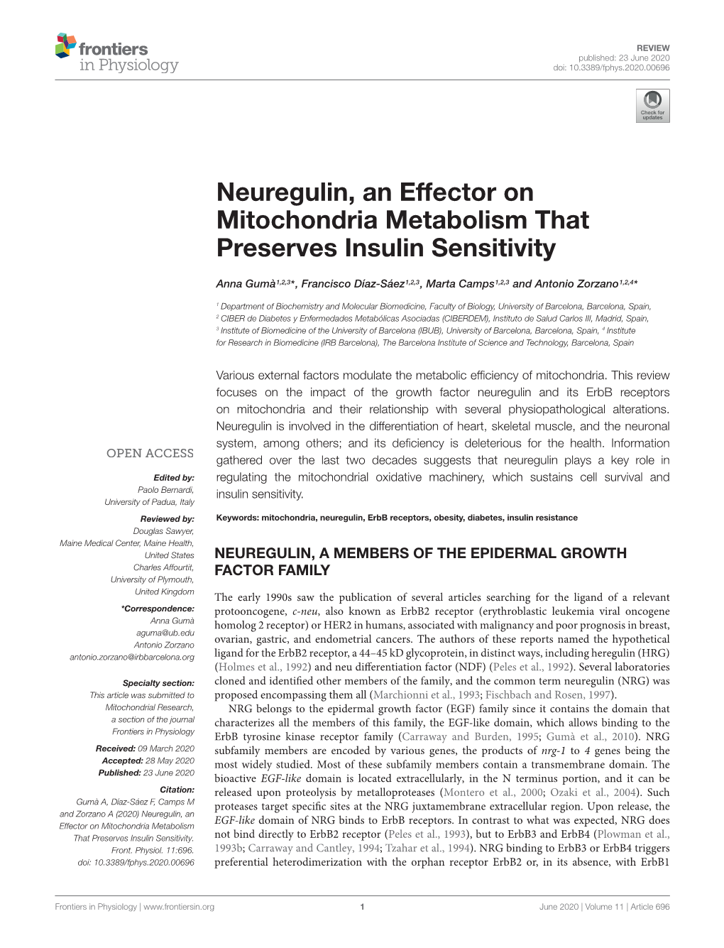 Neuregulin, an Effector on Mitochondria Metabolism That Preserves Insulin Sensitivity