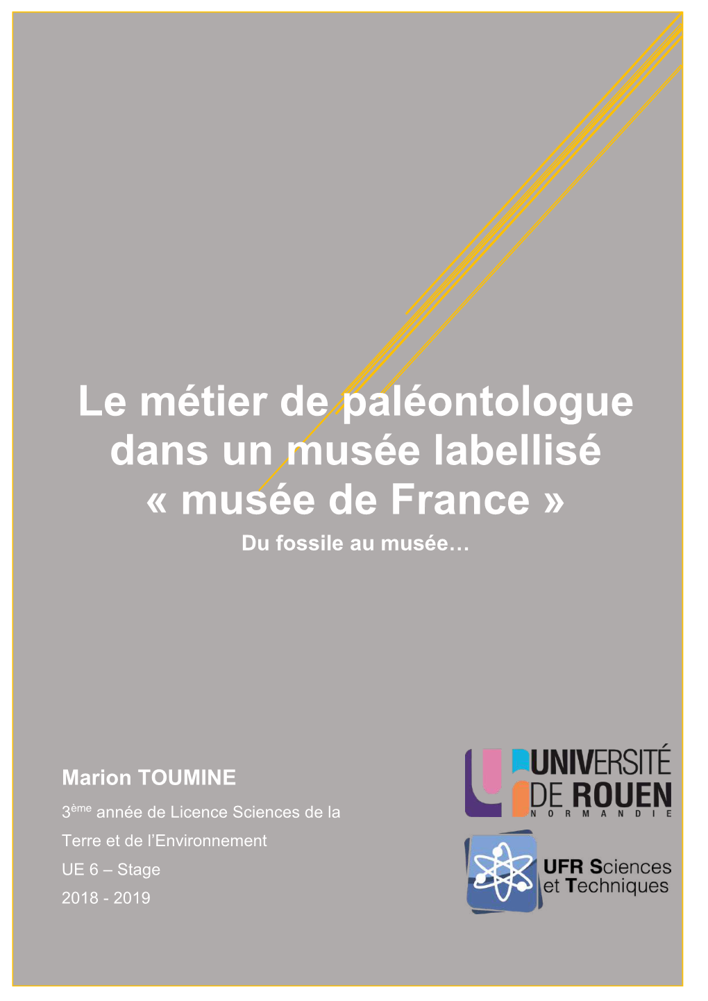 Le Métier De Paléontologue Dans Un Musée Labellisé « Musée De France » Du Fossile Au Musée…