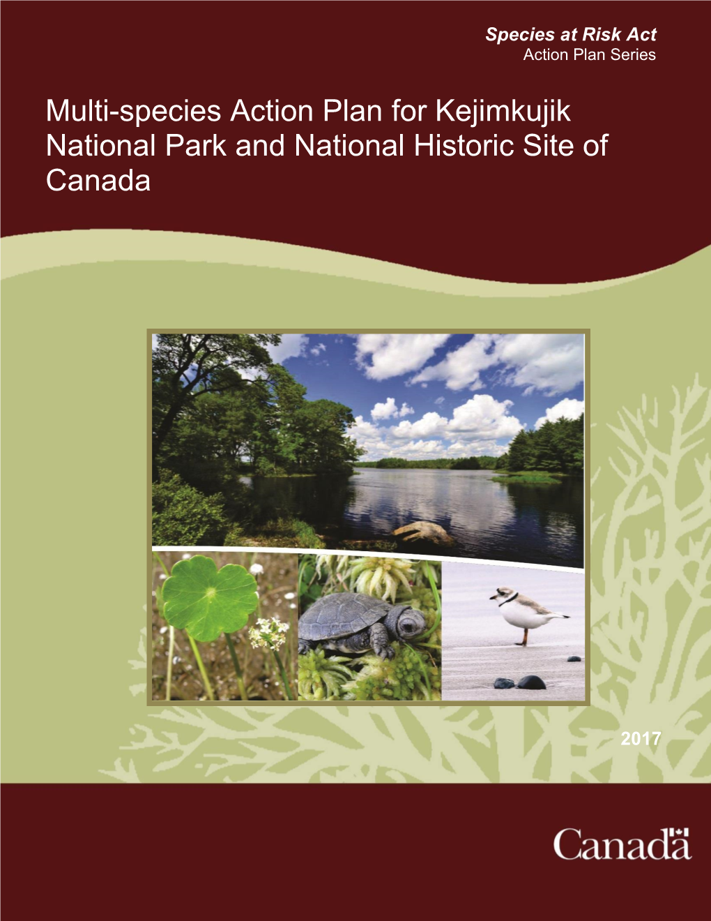 Multi-Species Action Plan for Kejimkujik National Park and National Historic Site of Canada