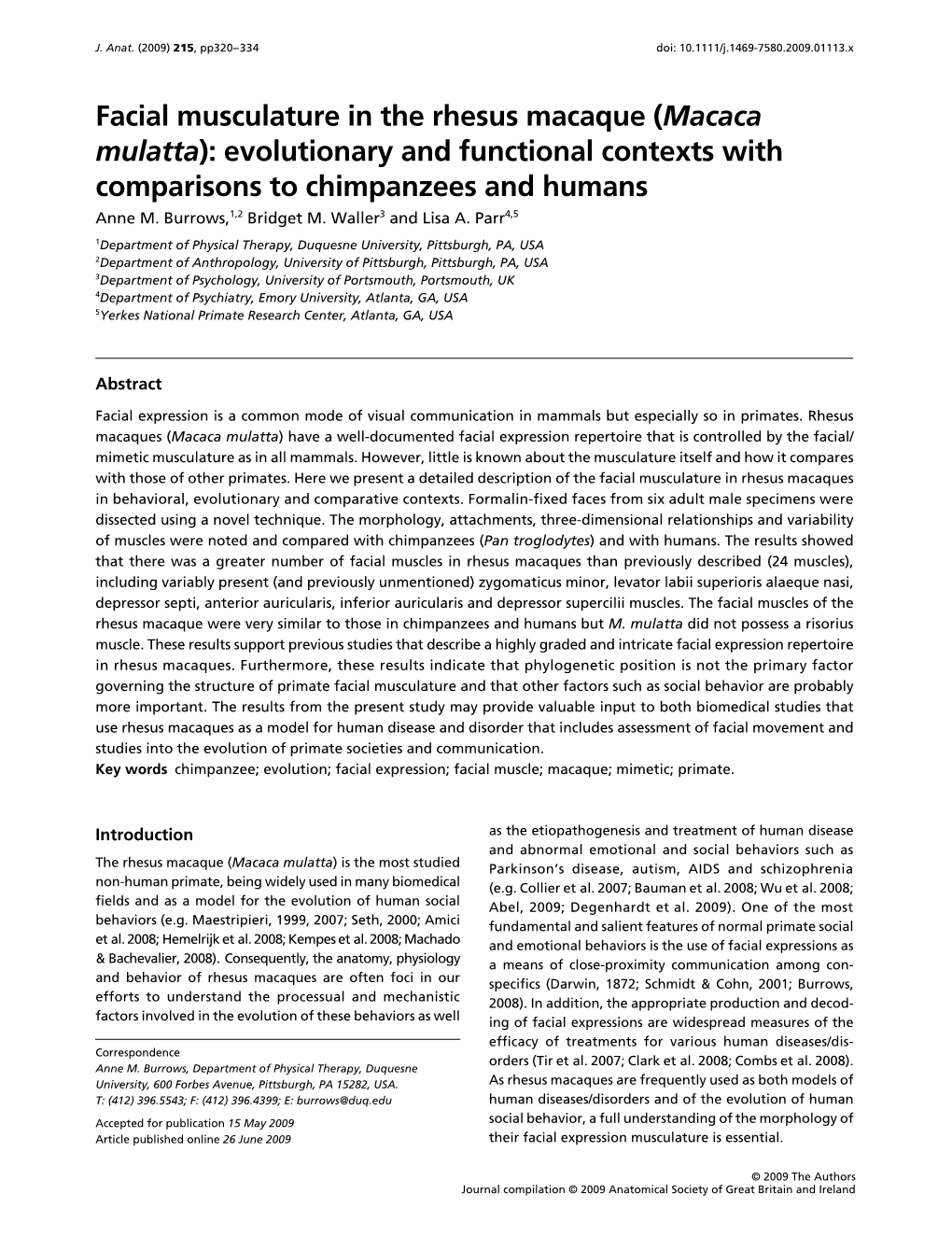 Facial Musculature in the Rhesus Macaque (Macaca Mulatta)