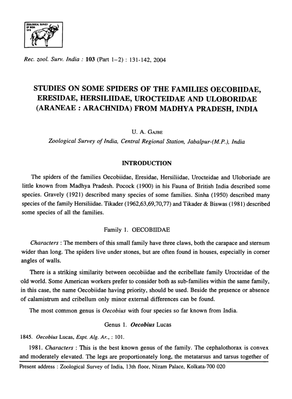 Studies on Some Spiders of the Families Oecobiidae, Eresidae, Hersiliidae, Urocteidae and Uloboridae (Araneae : Arachnida) from Madhya Pradesh, India