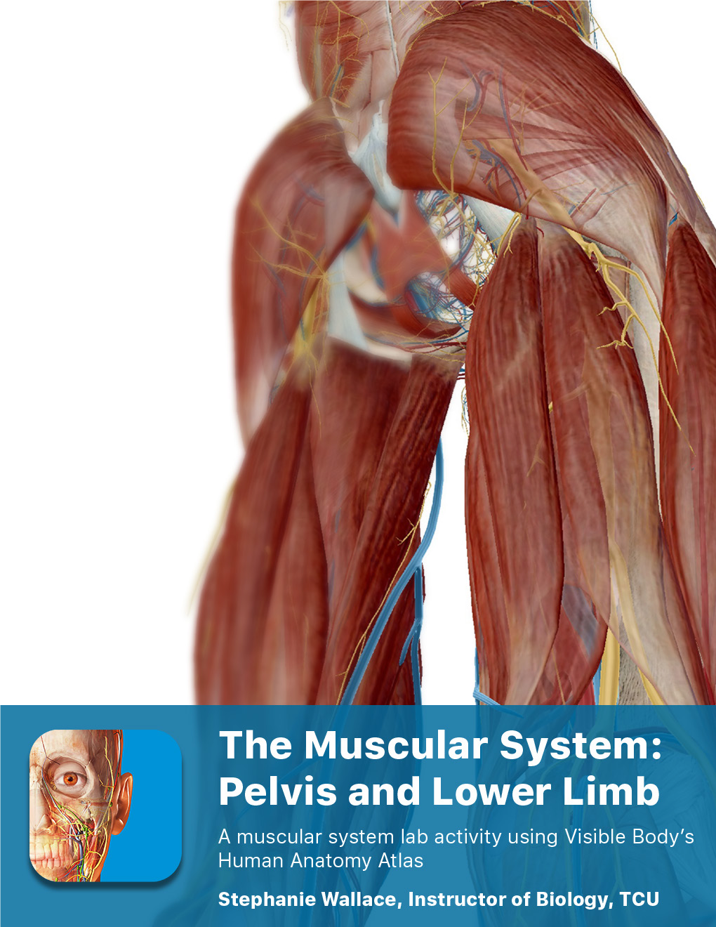 Download Lab Manual